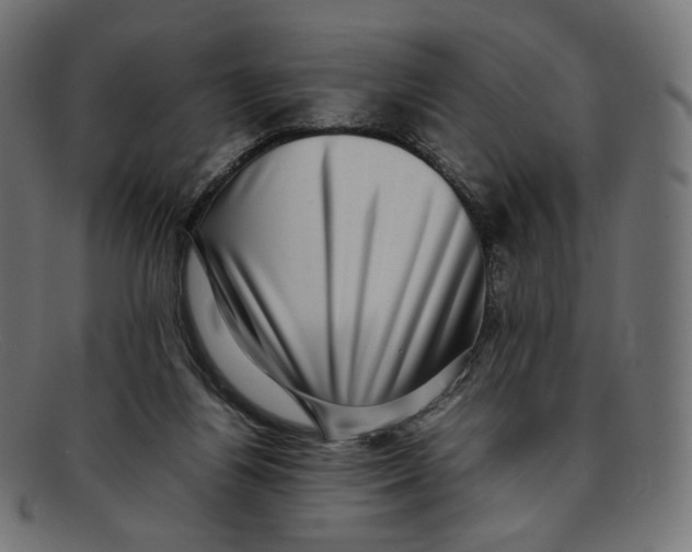 X0000092060164200710101040