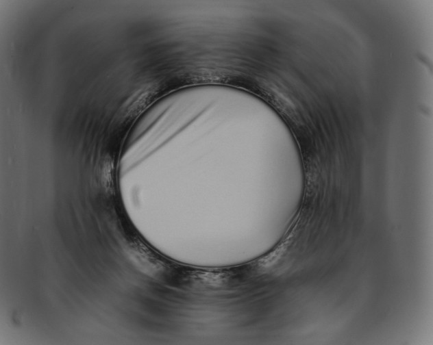 X0000092060166200710101040