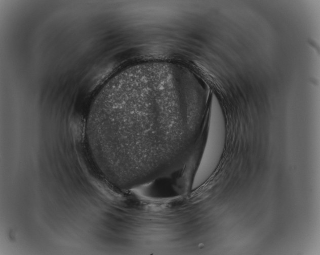 X0000092060168200710101040