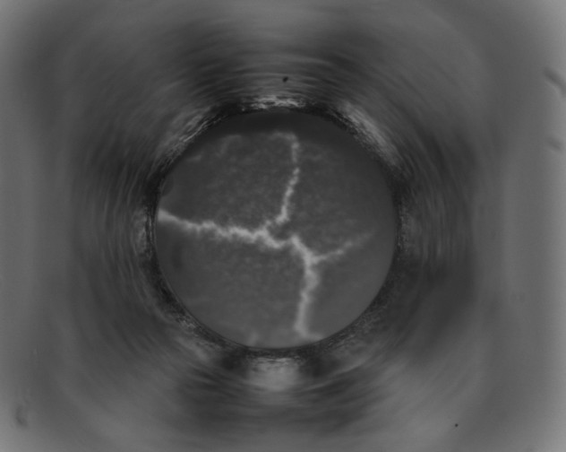 X0000092060169200710101040