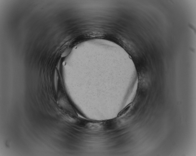 X0000092060170200710101040