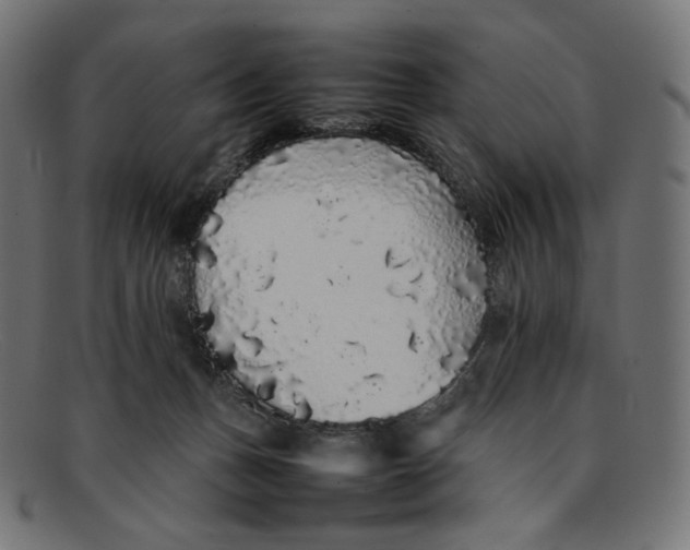 X0000092060175200710101040