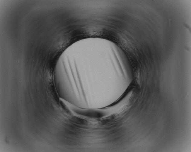 X0000092060176200710101040