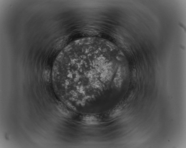 X0000092060177200710101040