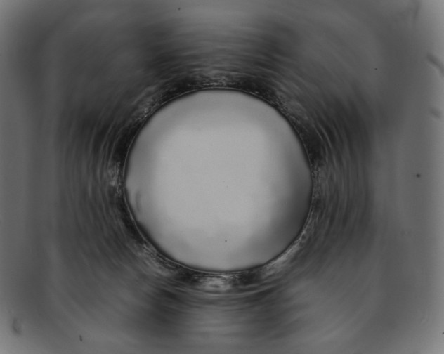 X0000092060178200710101040