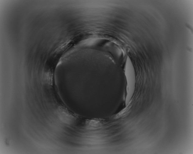 X0000092060180200710101040