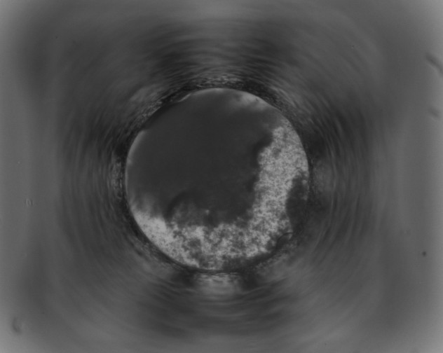 X0000092060181200710101040