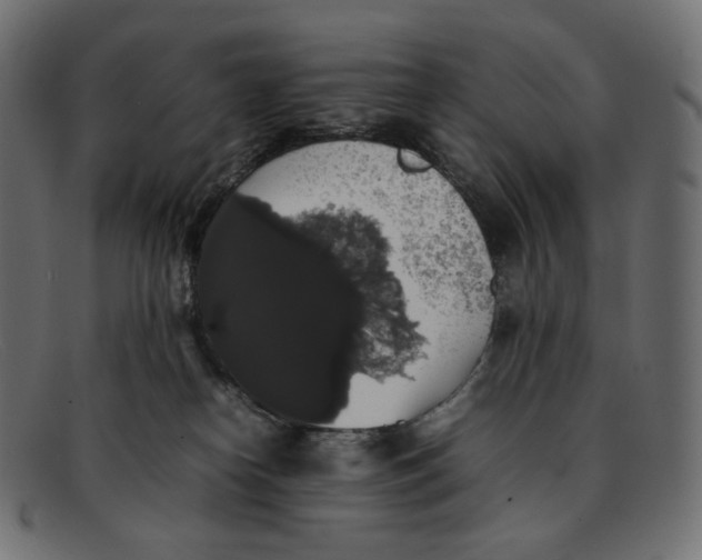 X0000092060182200710101040