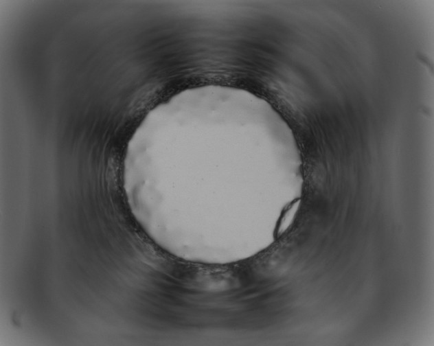 X0000092060185200710101040