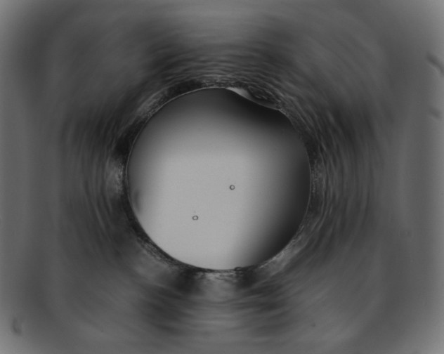 X0000092060188200710101040