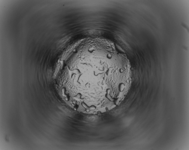 X0000092060189200710101040