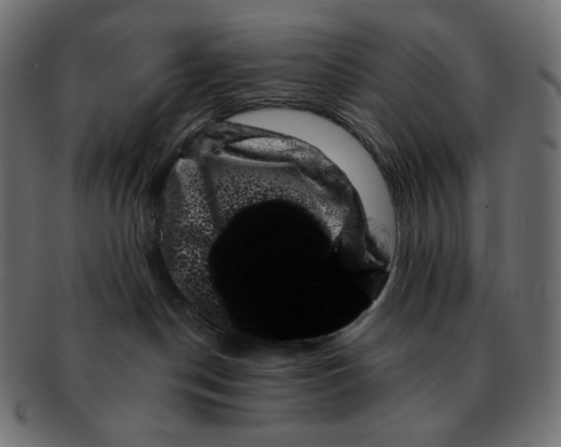 X0000092060190200710101040