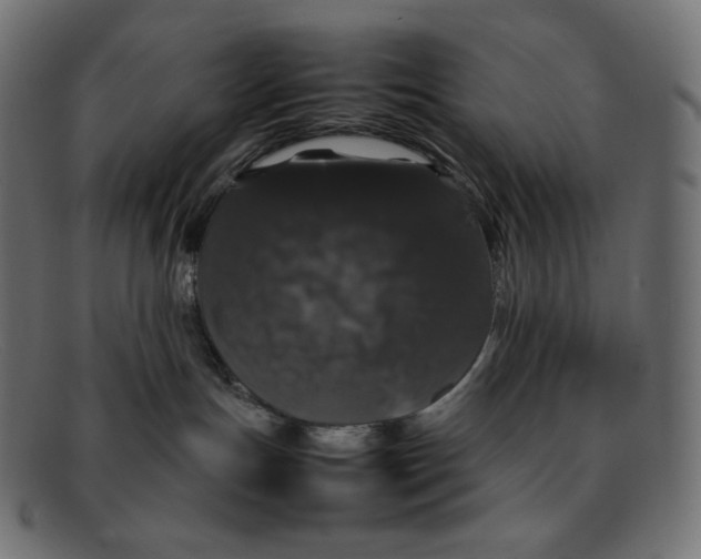 X0000092060191200710101040