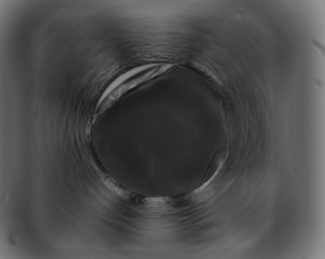 X0000092060192200710101040