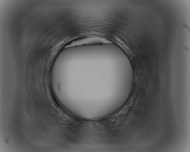 X0000092060193200710101040