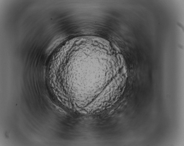 X0000092060194200710101040