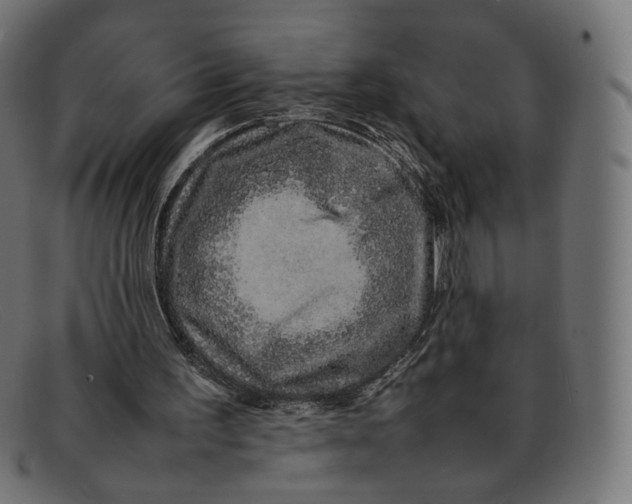 X0000092060195200710101040