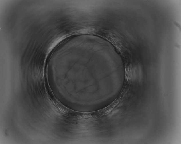 X0000092060196200710101040