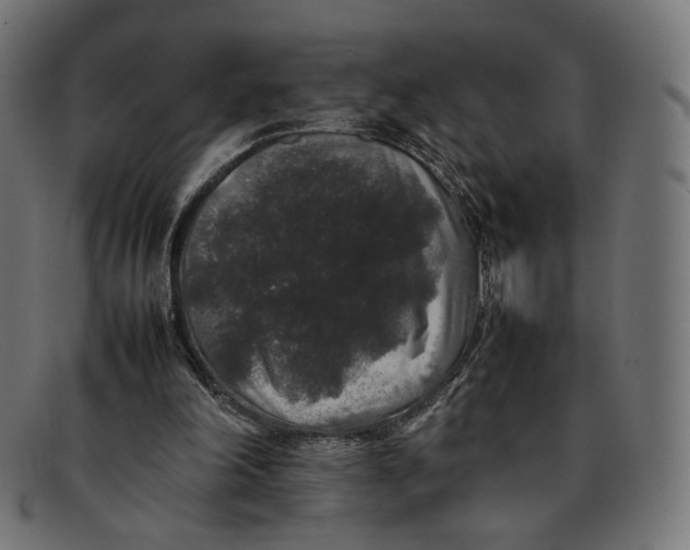 X0000092060198200710101040