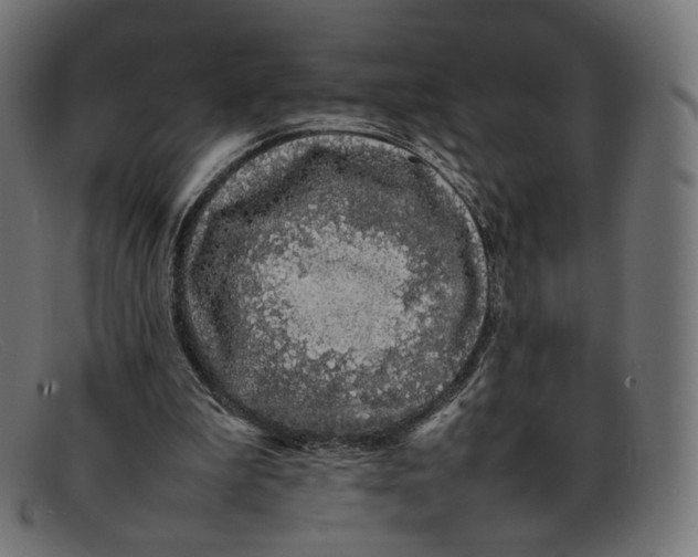 X0000092060199200710101040