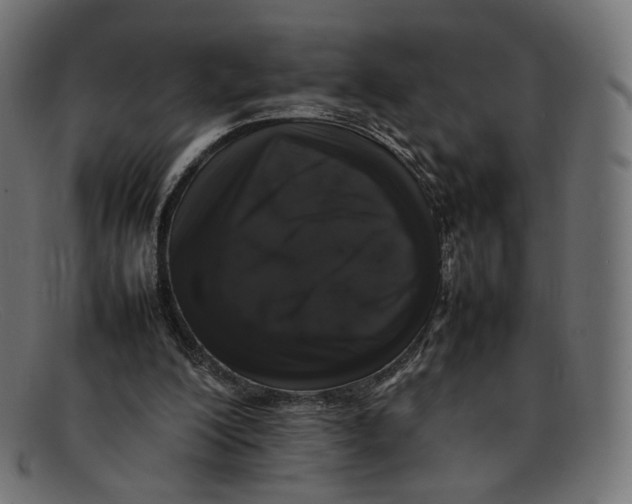 X0000092060200200710101040