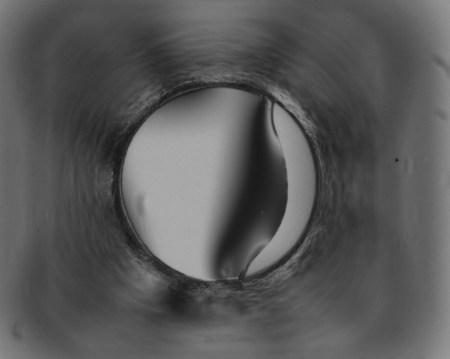 X0000092060201200710101040