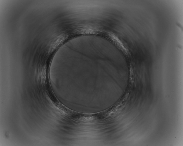 X0000092060202200710101040