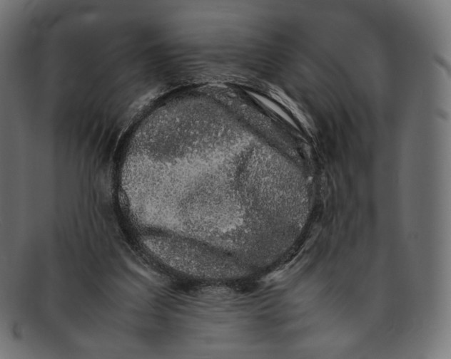 X0000092060203200710101040