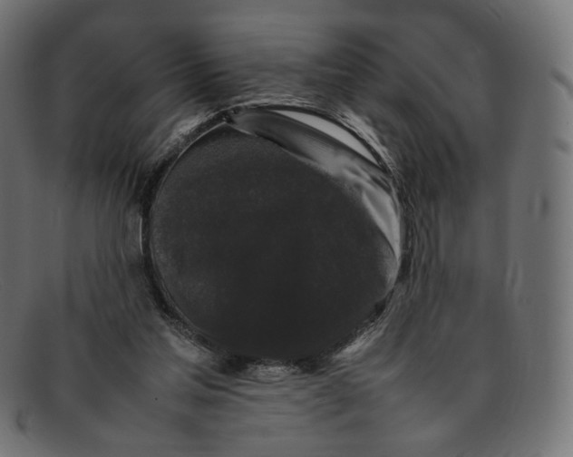 X0000092060205200710101040