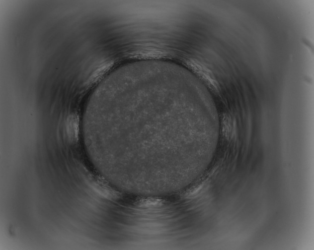 X0000092060206200710101040