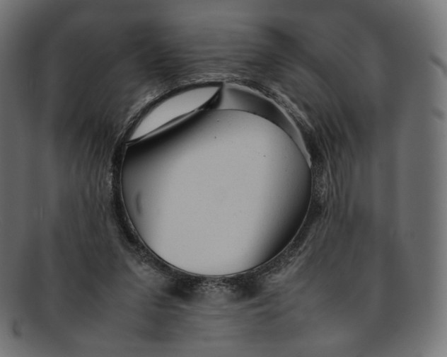 X0000092060207200710101040