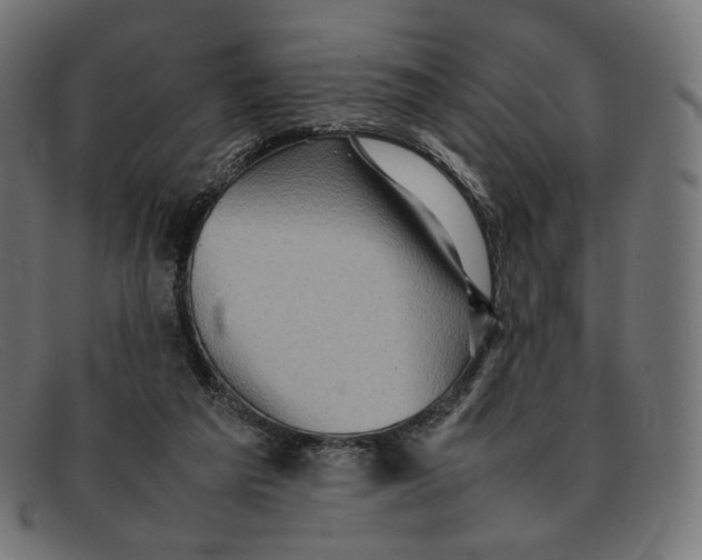 X0000092060209200710101040