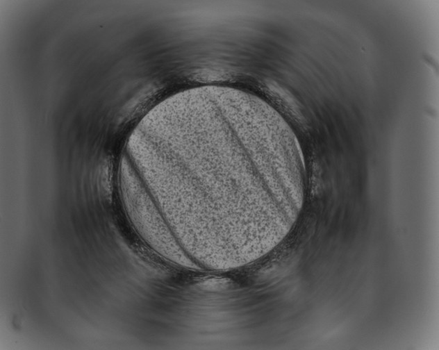 X0000092060210200710101040