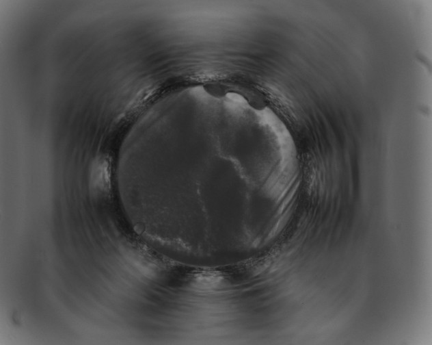 X0000092060214200710101040