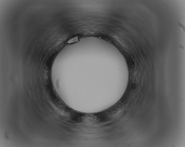 X0000092060215200710101040