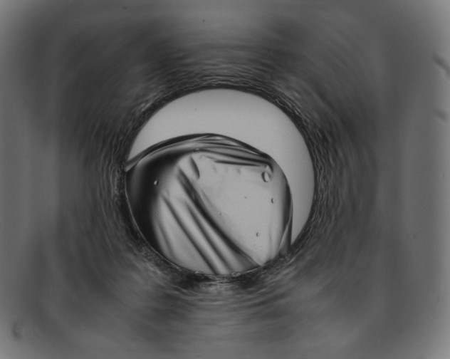 X0000092060219200710101040