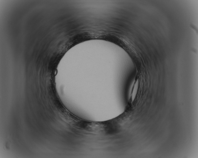 X0000092060221200710101040