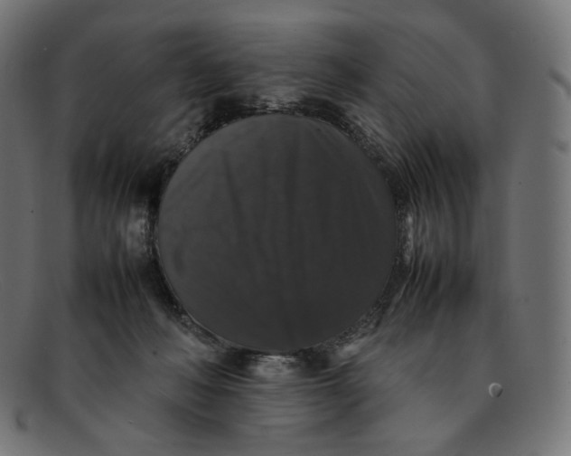 X0000092060222200710101040