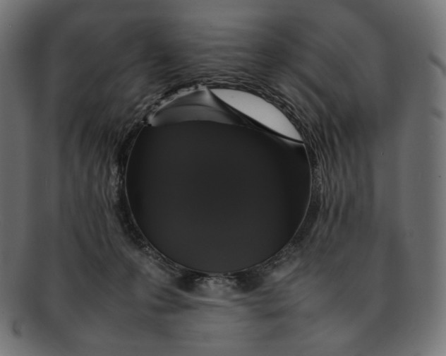 X0000092060223200710101040