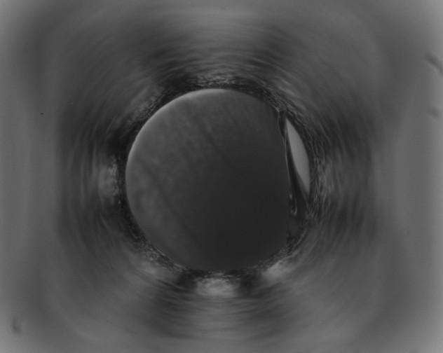 X0000092060224200710101040