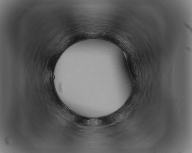 X0000092060225200710101040