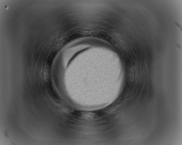 X0000092060226200710101039