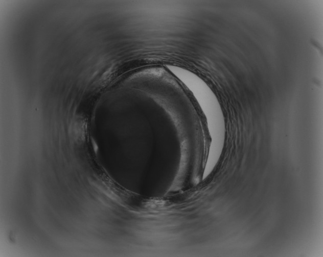 X0000092060227200710101039