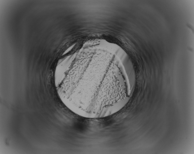 X0000092060229200710101039