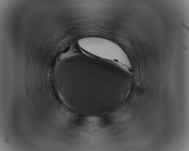 X0000092060233200710101039