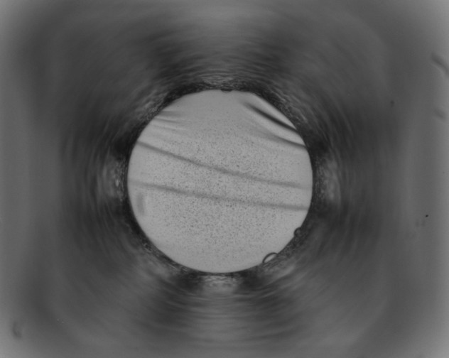 X0000092060234200710101039