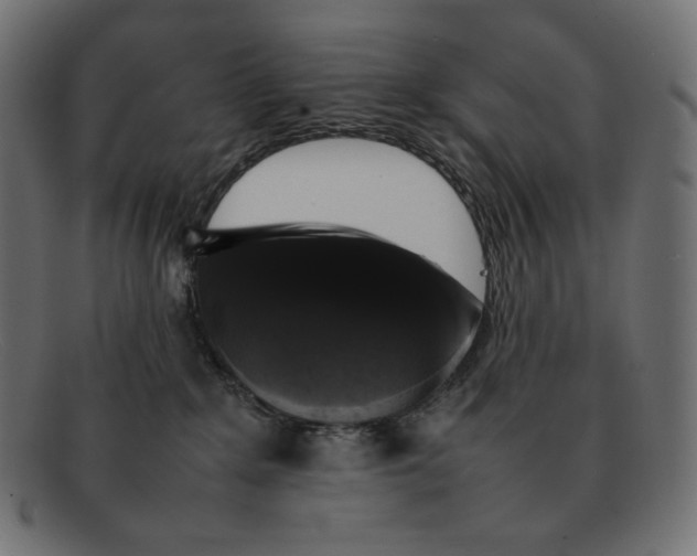 X0000092060235200710101039