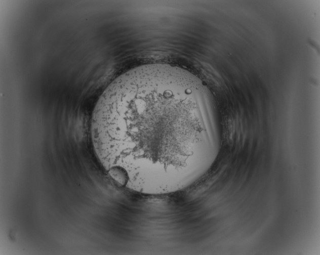 X0000092060236200710101039