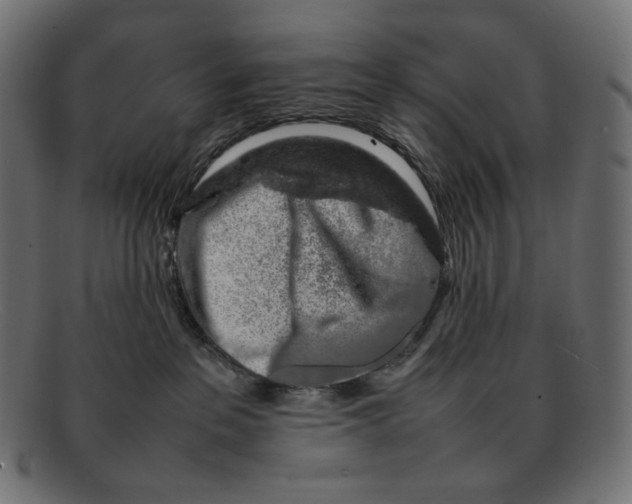 X0000092060237200710101039