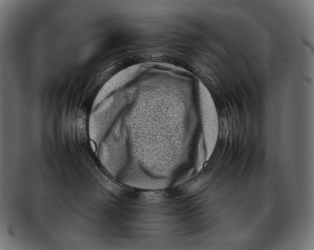 X0000092060238200710101039